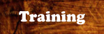 training